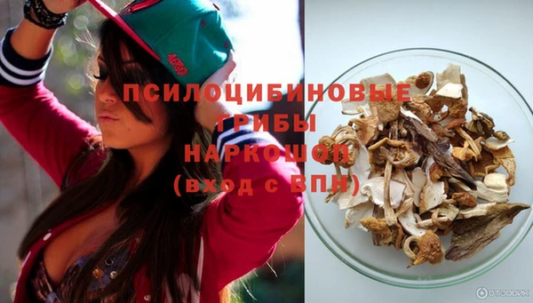 ПСИЛОЦИБИНОВЫЕ ГРИБЫ Аркадак