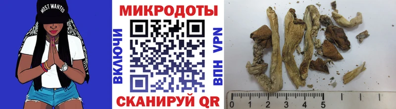 Псилоцибиновые грибы Psilocybe Нарткала